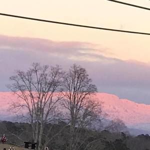 Meet your Posher, Rhonda